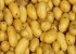 pomme-de-terre-prix_tunisie