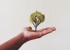 earth-day-fete-terre-journee-mondiale-instagram