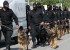 ansar-achariaa-tunisie-001