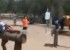 jardi -enfant-camp-jihadhiste