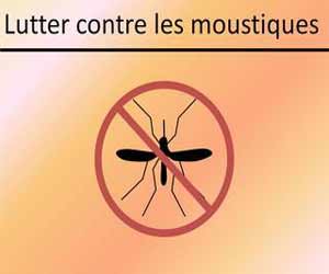 Tunisie : La lutte contre les moustiques s’intensifie