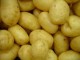 Bizerte : Saisie de 70 tonnes de pommes de terre