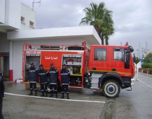 Tozeur: 150 palmiers incendiés