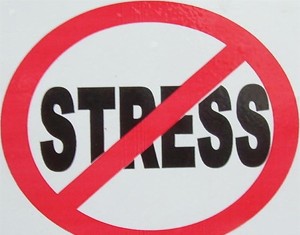 Santé : Quand le stress fait grossir