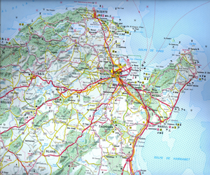 Tunisie – Bizerte: Une campagne de lutte contre les animaux errants