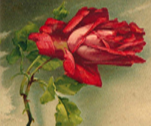 “Peintre des fleurs ” pour la première fois en Tunisie