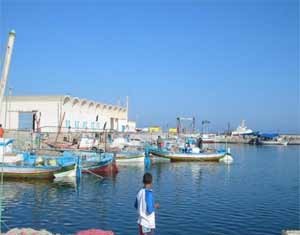 Transport : Cap sur les problèmes à l’île de Kerkennah