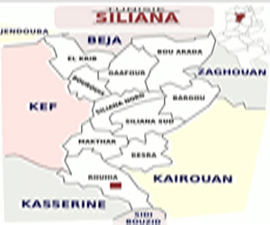 Tunisie-Contrebande: Saisie de 160 tonnes de fer à Siliana