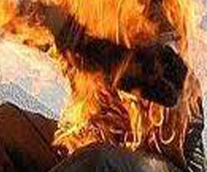 Une femme agresse une professeure et le mari menace de s’immoler