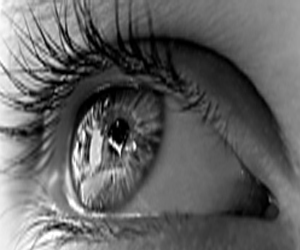 Savez-vous vous excuser?