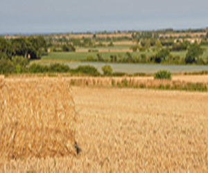 Zaghouan: Coup d’envoi à la moisson