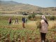 Amman : La femme rurale tunisienne, potentialités à exploiter