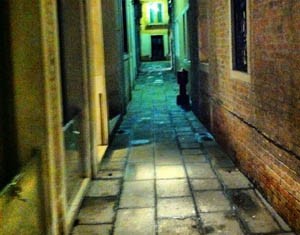 Tunisie – Culture – Expositions: “Street Photos” investit la Place Pasteur