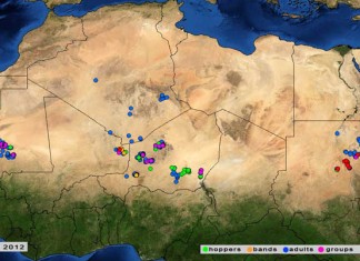 Tunisie: Vers l’unification des législations du travail entre les pays maghrébins