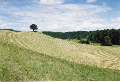 Tunisie – Situation explosive entre les habitants de Msaken et Sidi El Héni