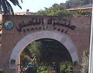 Tunisie – Fête de l’Arbre : Reboisement de 60 ha à Montazah Ennahli