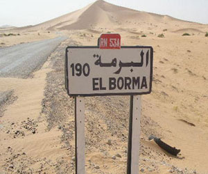 Tunisie: Plus de 100 agents de la STEG en grève de la faim