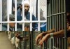 Construction d’une prison pour l’accueil des djihadistes : Kaïs Soltani dément