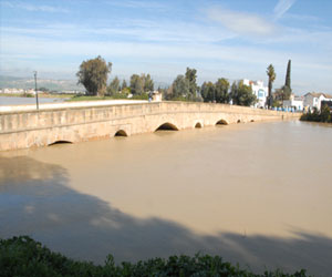 Jendouba : Appel à des mesures préventives à la suite de la hausse sensible du volume des eaux de la Méjerda