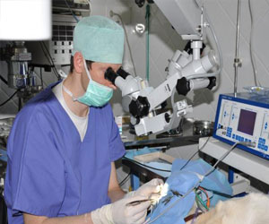 Tunisie: Démarrage des travaux de la 1ère clinique privée à Sidi Bouzid