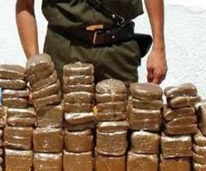 Tunisie : 300 plaques de « zatla » trouvées à l’intérieur d’un sac en plastique