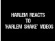Harlem Shake: Réaction des habitants de Harlem – Manhattan