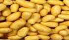 Tunisie: Importation de trois mille tonnes de pommes terre