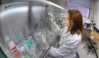 La disparition des tubes contenant un virus mortel inquiète l’Institut Pasteur