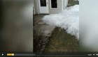 VIDEO. Une vague de glace engloutit un jardin aux Etats-Unis