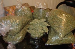 Kébili : Mise en échec d’une opération de contrebande de 100 kg de cannabis