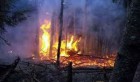 Le Kef : Poursuite des incendies dans les montagnes de Ouergha