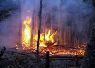 Le Kef : Incendie au Mont Ouerghi dans la délégation de Sakiet Sidi Youssef