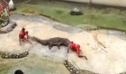 VIDEO : Un dresseur se fait mordre par un crocodile