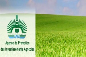 Tunisie: Hausse des investissements agricoles de 61,32% dans le gouvernorat de Tozeur
