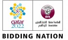 Le Mondial 2022 n’aura pas lieu au Qatar, selon un membre de la Fifa