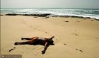 Tunisie – Gabés : Trois cadavres découverts sur les plages d’El Hicha, Ghannouche et Ouedhref