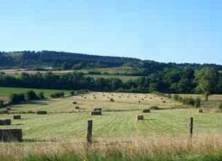 Tunisie : L’Etat doit recupérer 68 mille hectares de terres domaniales agricoles