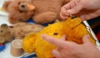 Un retraité slovaque ouvre un zoo d’animaux en peluche !