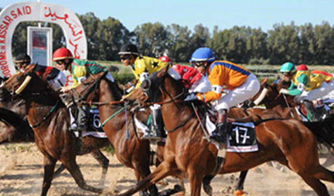 Tunisie : prolongation du confinement des chevaux à Ksar Saïd après de nouveaux cas du virus EHV-1