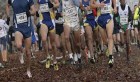 Championnat d’Europe (50 km marche) : Record du monde et titre pour le Français Yohann Diniz