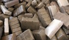 Douane : Échec d’une tentative de contrebande de 50 plaques de cannabis à Médenine