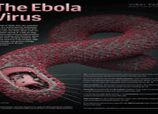 Tunisie: Mesures préventives contre la maladie à virus Ebola