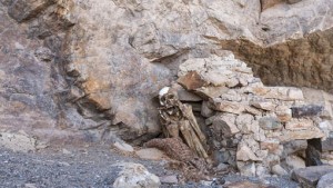 Des écoliers découvrent une momie vieille de 7.000 ans !