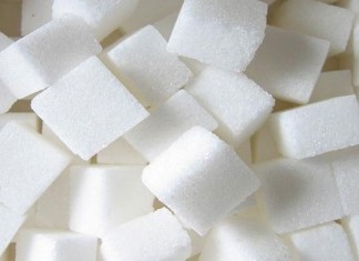 Béja : relance officielle des activités de la Société tunisienne du sucre