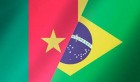 Mondial 2014-Cameroun-Brésil: Compositions