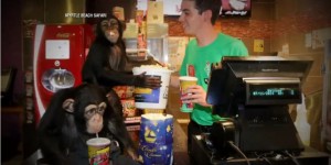 VIDÉO : Deux chimpanzés assistent à une projection de “La Planète des singes” !