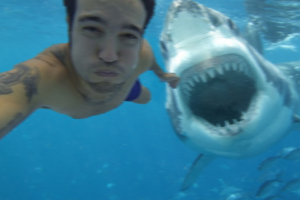Il prend un selfie juste avant une attaque de requin mortelle !