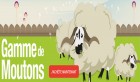 Sardi.ma, le site de vente en ligne de moutons