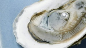 Il commande des huîtres pour épater son amie et découvre 5 perles !