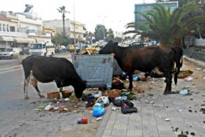 Youssef Chahed: De l’eau, des routes et des poubelles